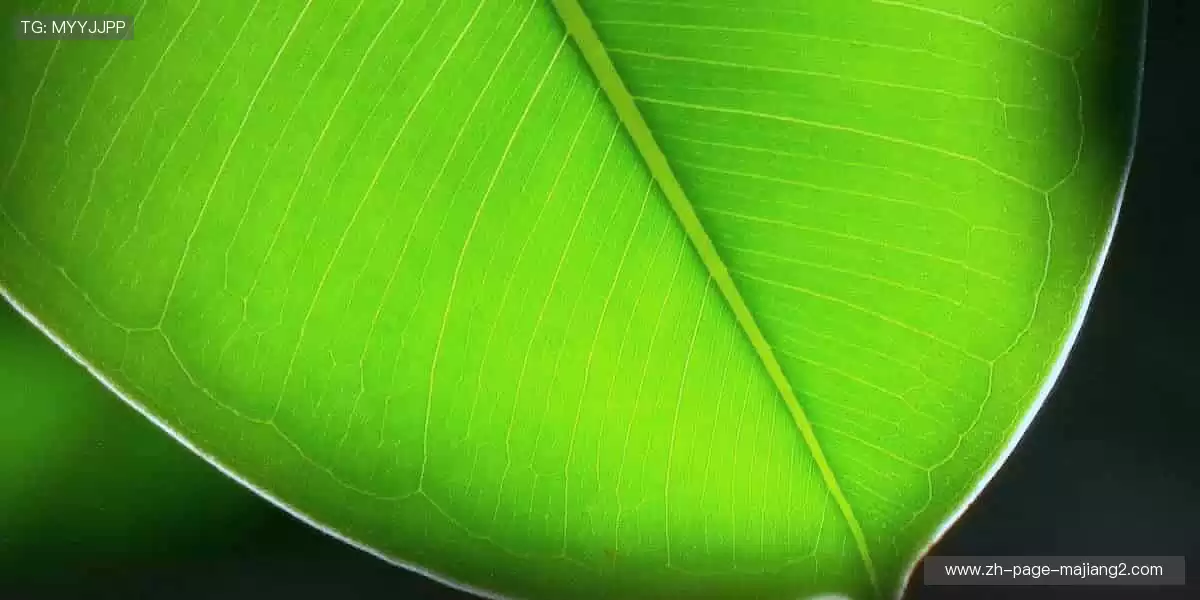 周边装备，让热爱触手可及！🎁